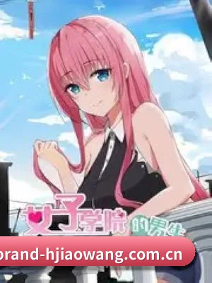 海角网 APP 深度功能